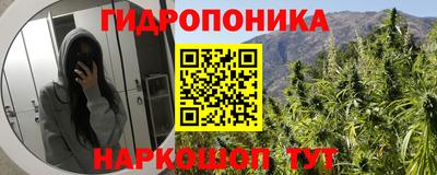 прущие крисы Моздок